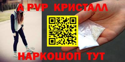 стаф Кингисепп