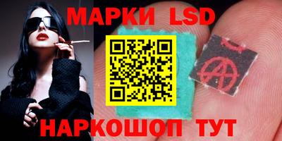 стаф Кингисепп