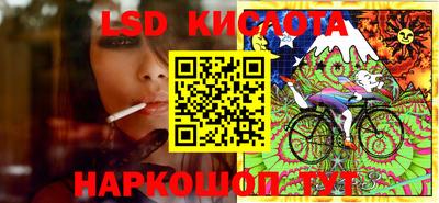 стаф Кингисепп