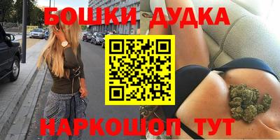 стаф Кингисепп