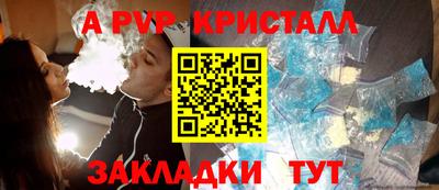 стаф Кингисепп