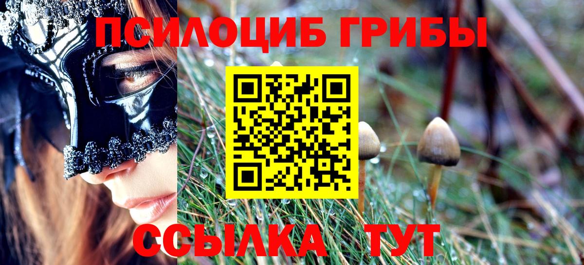 даркнет сайт  Псилоцибиновые грибы прущие грибы  Вход с VPN  Кохма 